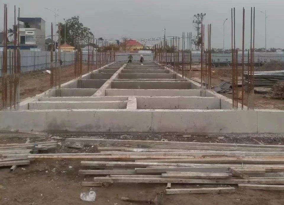 1743042114851352.jpg